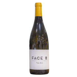 Nous deux Domaine Face B Languedoc Vin Nature