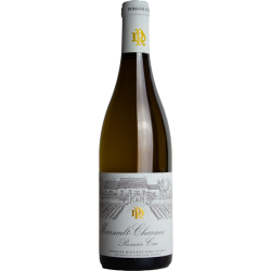 Domaine Marc Rougeot / Meursault / Vin Bourgogne Nature