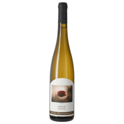 Riesling Steinert  Jean Pierre Frick Vin Nature d'Alsace