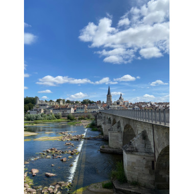 Vins Nature de la Vallée de la Loire : Harmonie et Fraîcheur en Bouteille