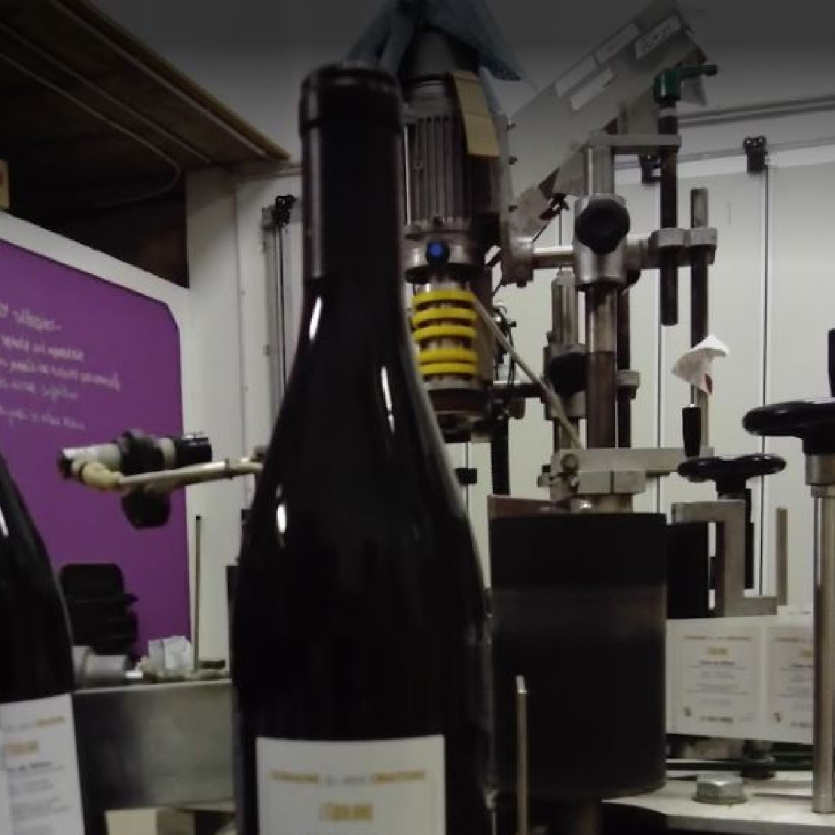 Lori-Haon-Domaine-du-petit-Oratoire-Languedoc-Roussillon-30210-Valliguieres-photo4
						                