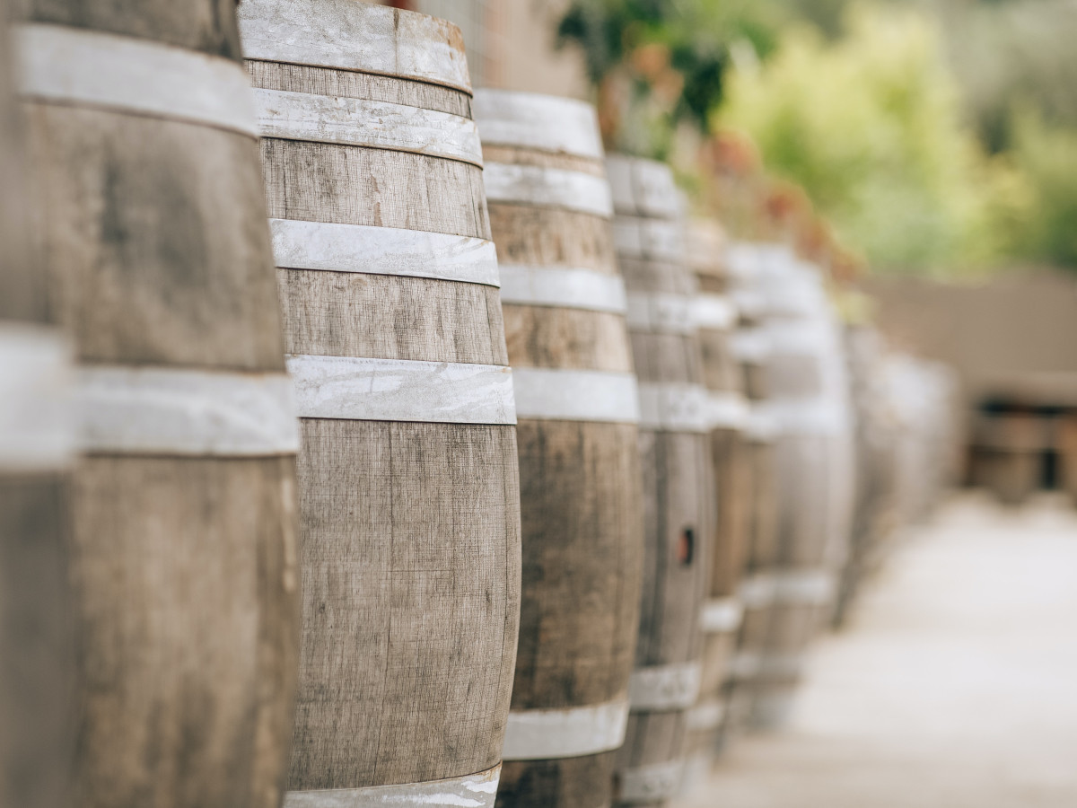 pexels-olya-harytovich-16820431
		                