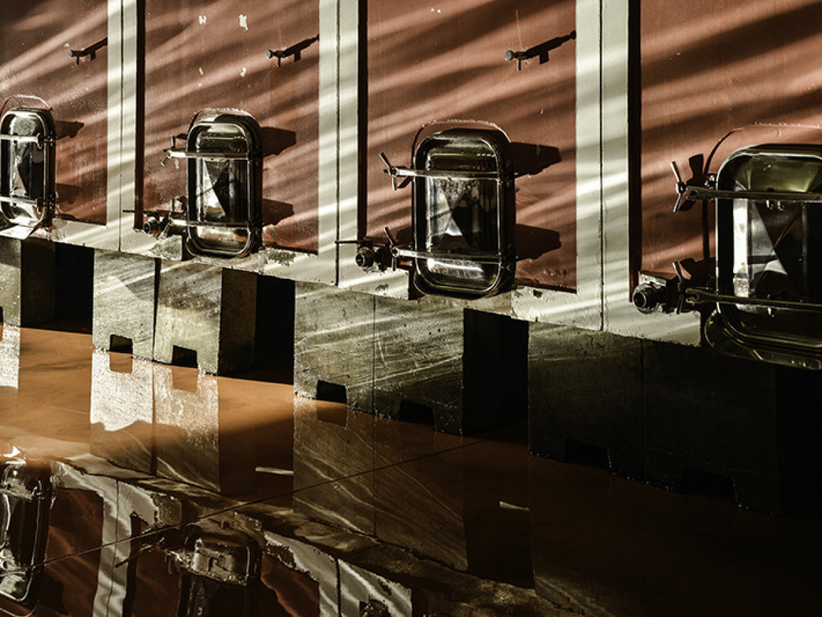 Emmanuel_Darnaud-Crozes_Hermitage-Rhône-26600-La-Roche-de-Glun_021
		                