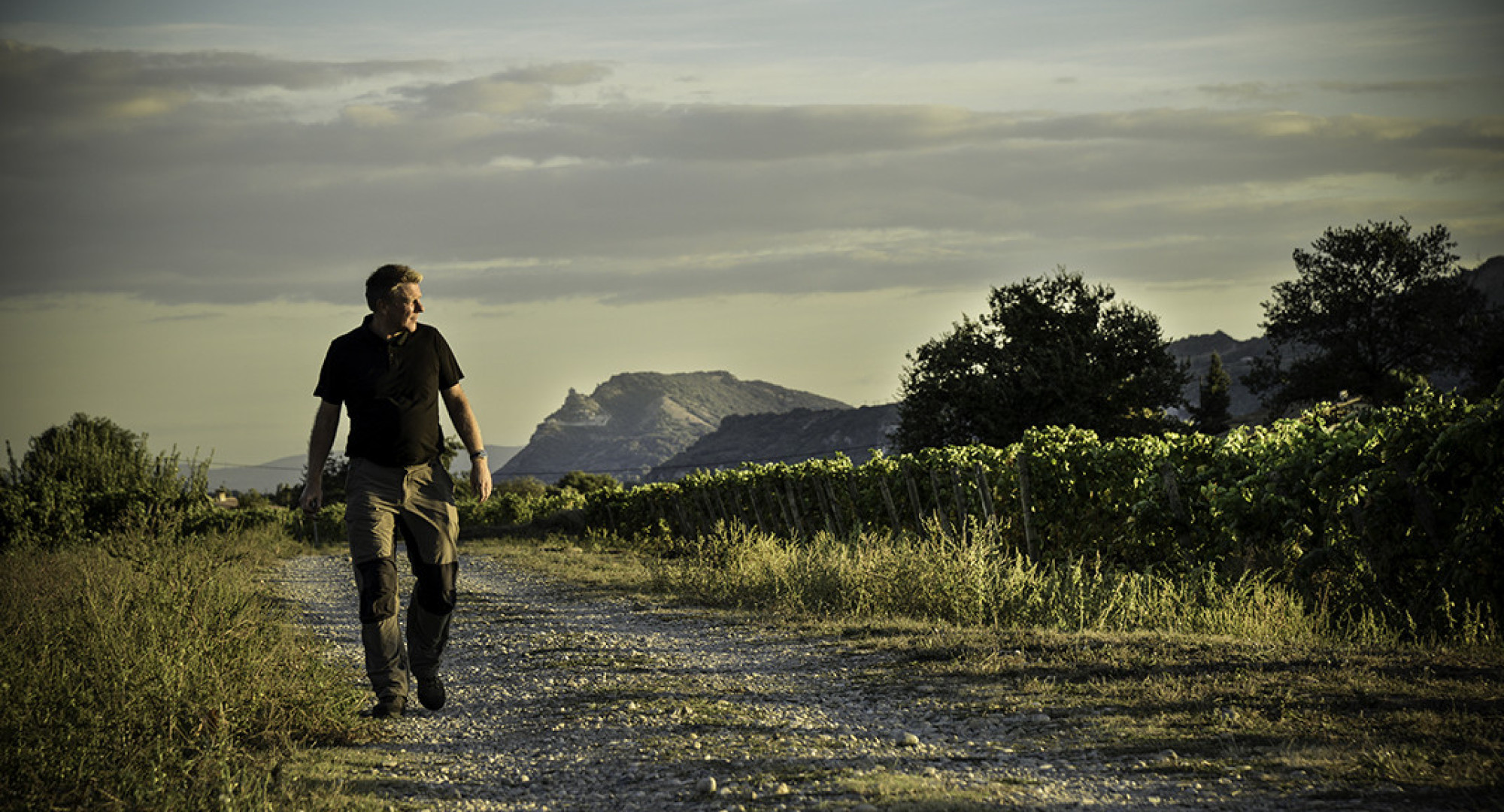 Emmanuel_Darnaud-Crozes_Hermitage-Rhône-26600-La-Roche-de-Glun_116
					                