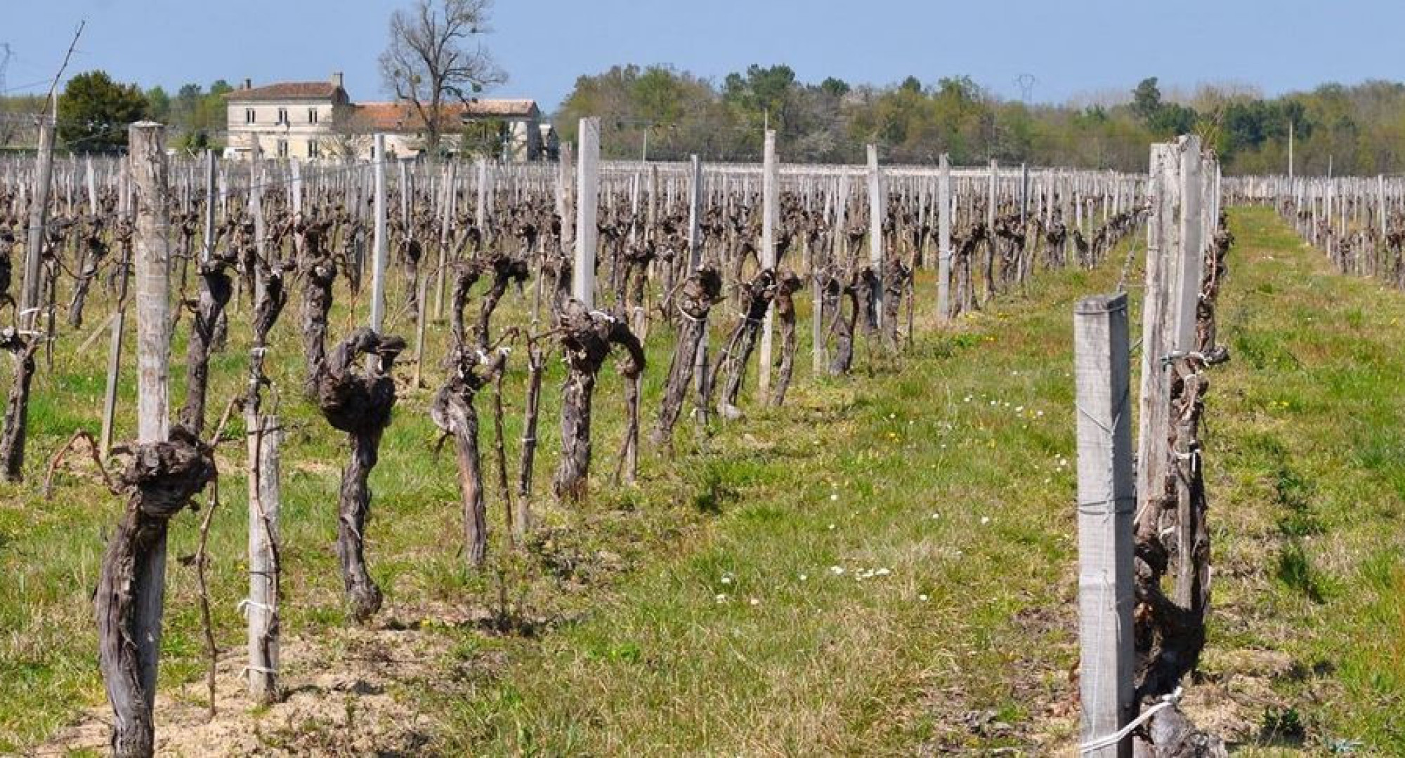 Valerie-Godelu-2015-Les-Trois-Petiotes-Vin-de-France--Bordeaux-33710-Tauriac-1-1
					                