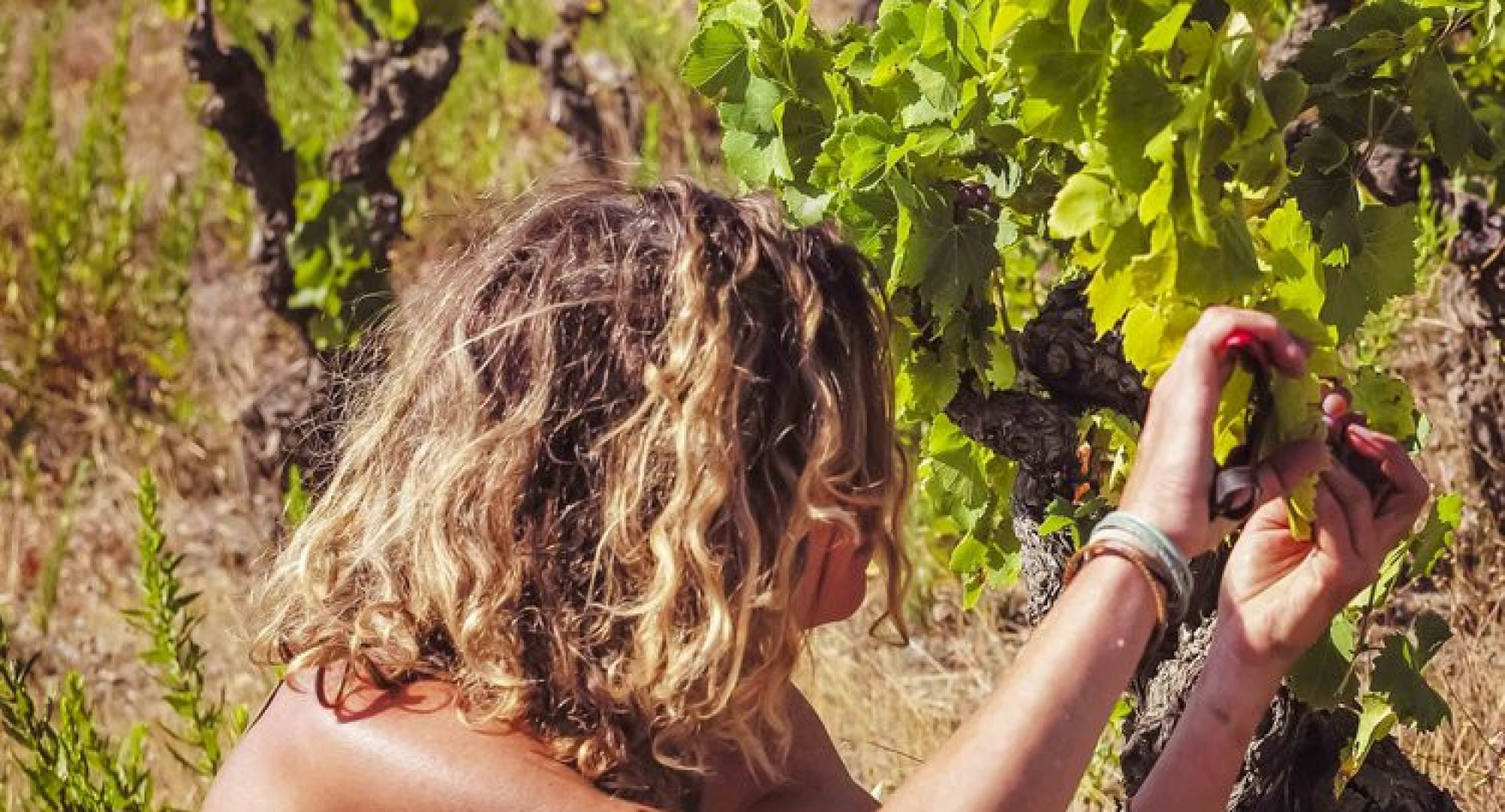 mathilde qui cultive
					                