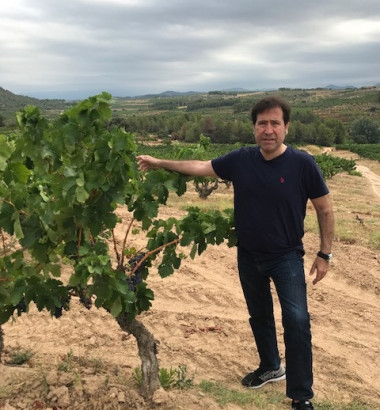Joan-Franquets-2019-Costador-Catalunya-denominacio-d'origen-Espagne-43422-Tarragone-4-1
															                