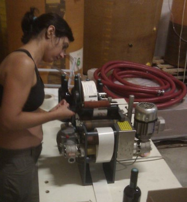 Valerie-Godelu-2015-Les-Trois-Petiotes-Vin-de-France--Bordeaux-33710-Tauriac-3-1
															                