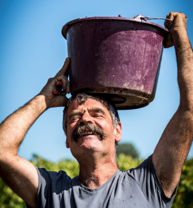 Vin-Nature-Domaine-Landron
															                