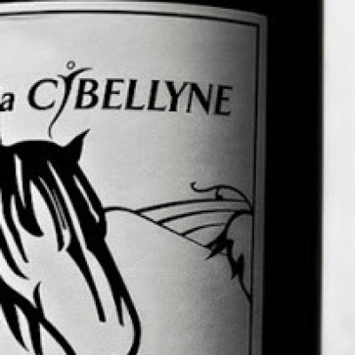 Benoit-Royer-domaine-Cibellyne-cote-du-jura-Jura-39600-Mesnay-1 (1)
				                