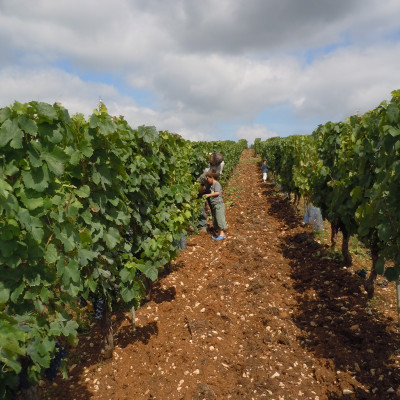 Clos Troteligotte August View
				                
