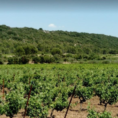 Lori-Haon-Domaine-du-petit-Oratoire-Languedoc-Roussillon-30210-Valliguieres-photo3
				                