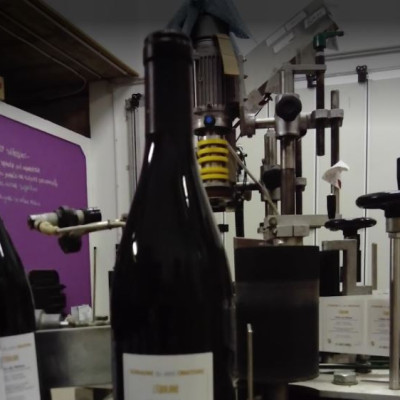 Lori-Haon-Domaine-du-petit-Oratoire-Languedoc-Roussillon-30210-Valliguieres-photo4
				                