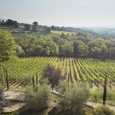 Bertrand-Habsiger-Fattoria-Di-Caspri-Toscane-Italie-52025-Montevarchi-photo3
				                
