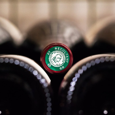 Danielle-Bonnardot-92-min
				                