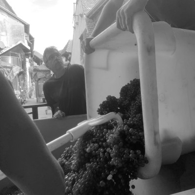 WhatsApp-Image-2021-10-01-at-10.17.42
				                