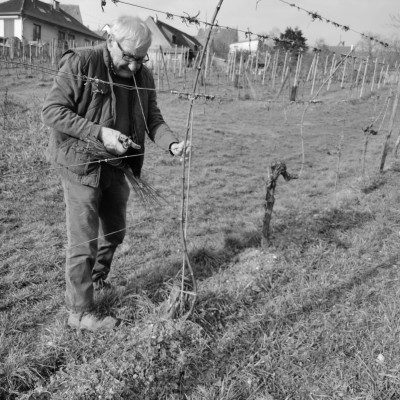 WhatsApp-Image-2021-02-23-at-14.36.29-2
				                