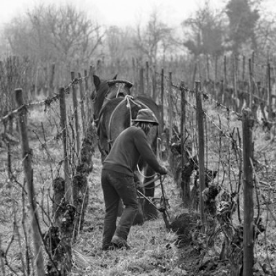 Labours-d®cembre-2016-03
				                