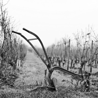 Labours-d®cembre-2016-36
				                