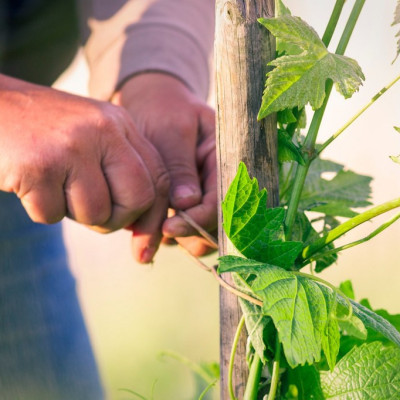 0010_hermitage_darnaud-10_WEB
				                