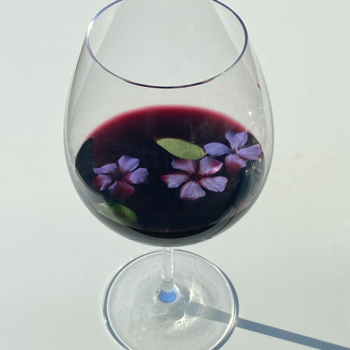 Verre_vin_syrah_violette
													                