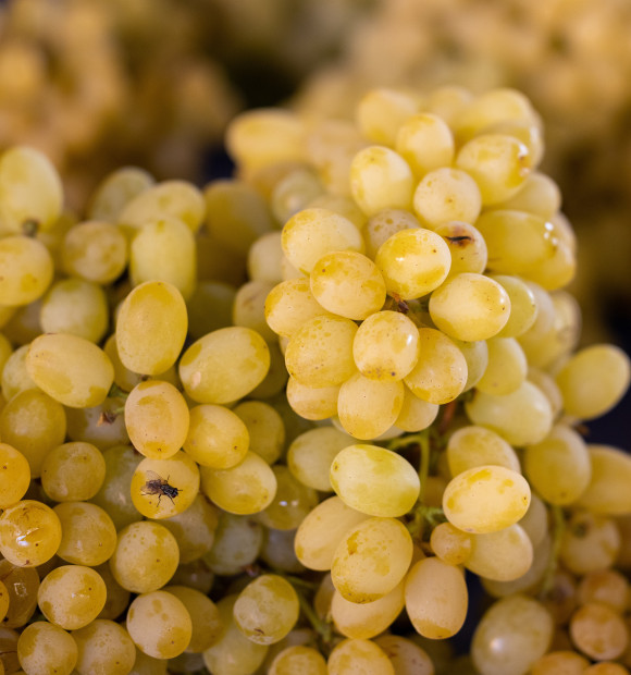 pexels-engin-akyurt-10112129
			                