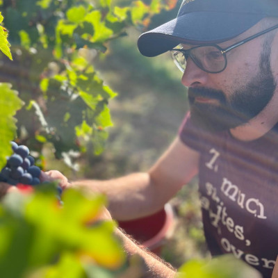 Domaine Entras - vendange Merlot sous le bois - Blanc de Noirs - 20
				                