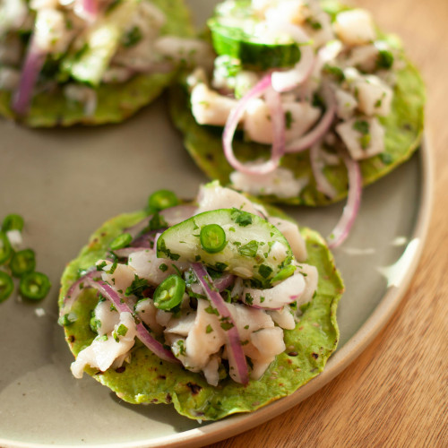 dorade_fish_wine_petnat
                                        