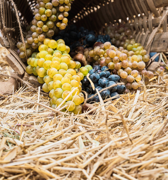 grapes-basket-lie-straw-selective-focus-harvest-season-young-wine-preparation-ecological-products
			                